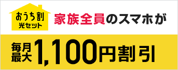 おうち割 光セット