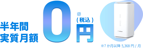 12カ月間月額料金実質3,260円～※1