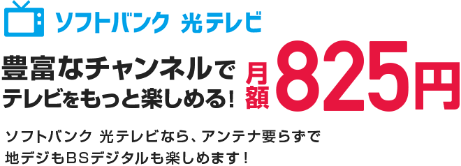 豊富なチャンネルでテレビをもっと楽しめる!月額660円