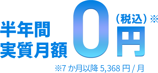 12カ月間月額料金実質3,260円～※1